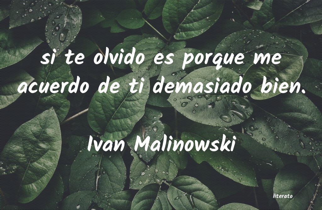 Frases de Ivan Malinowski