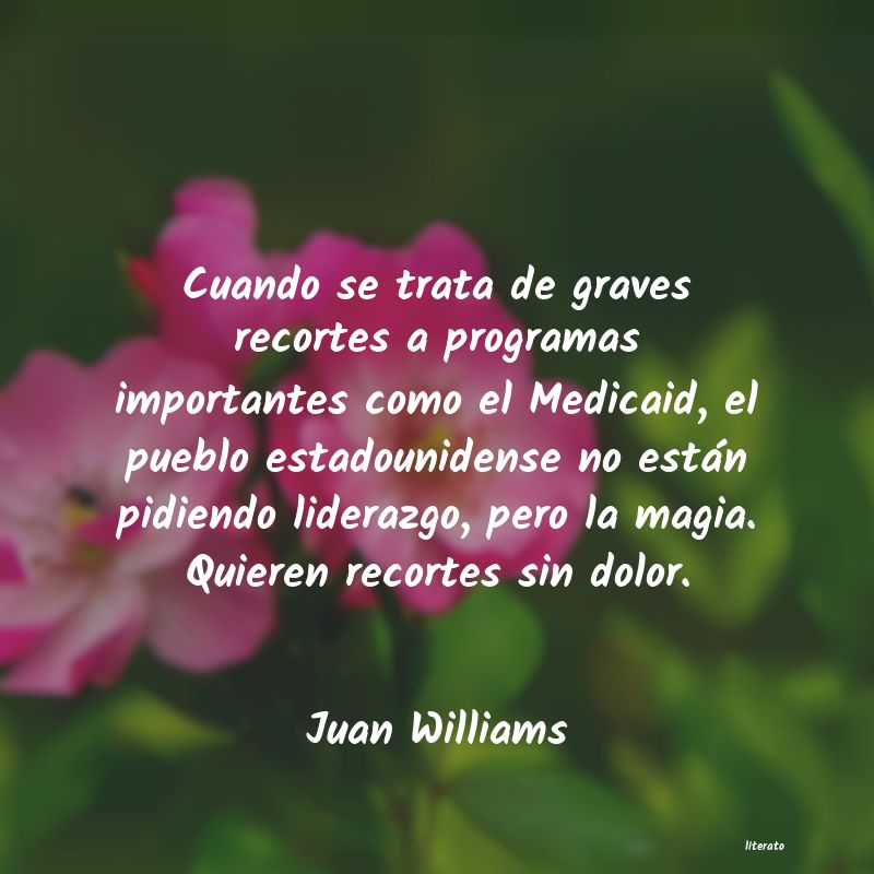 Frases de Juan Williams