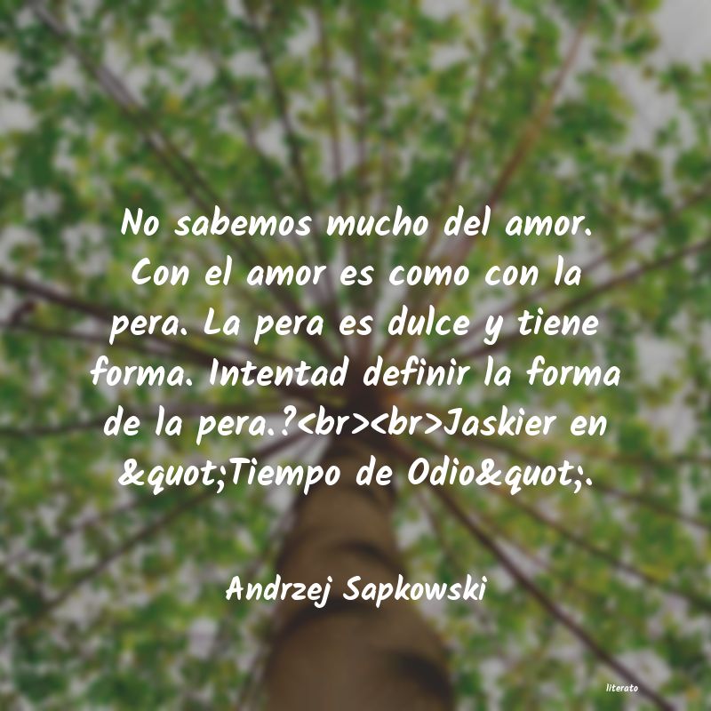 Frases de Andrzej Sapkowski