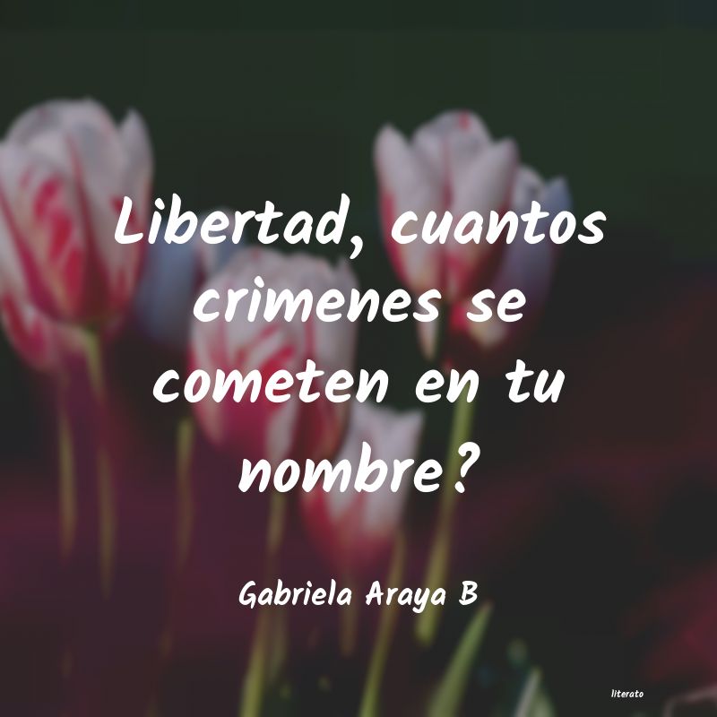 Frases de Gabriela Araya B