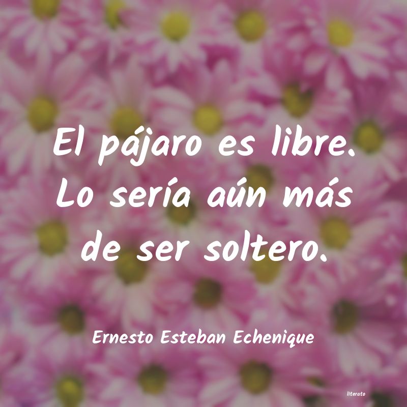 Frases de Ernesto Esteban Echenique
