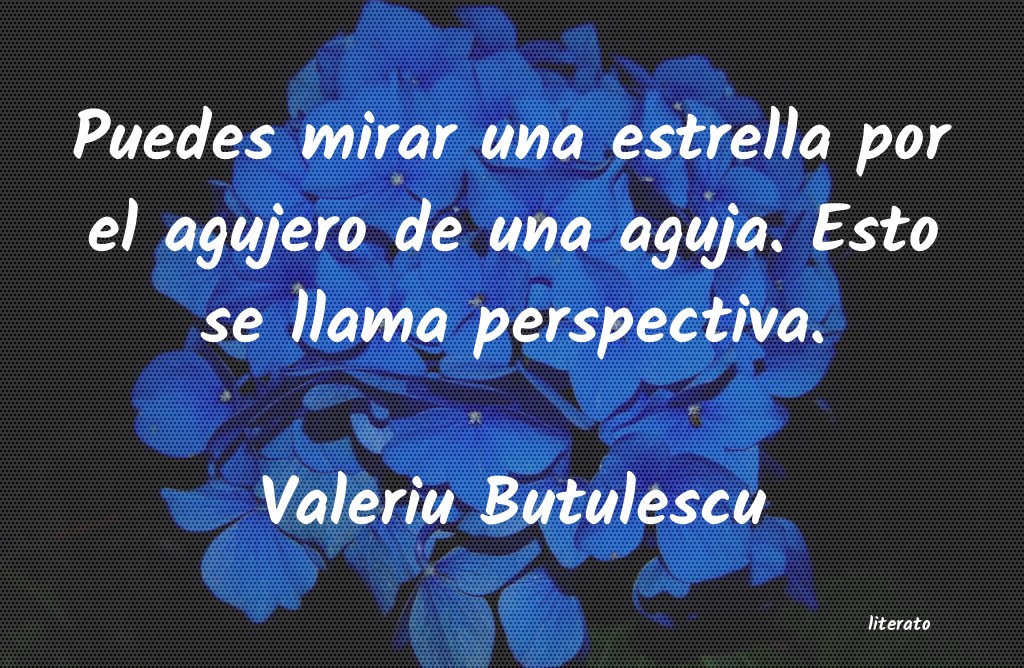 Frases de Valeriu Butulescu