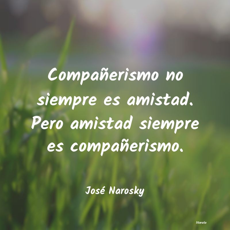 frases amistad rugby
