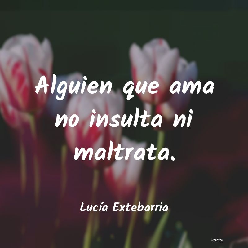 Frases de Lucía Extebarria