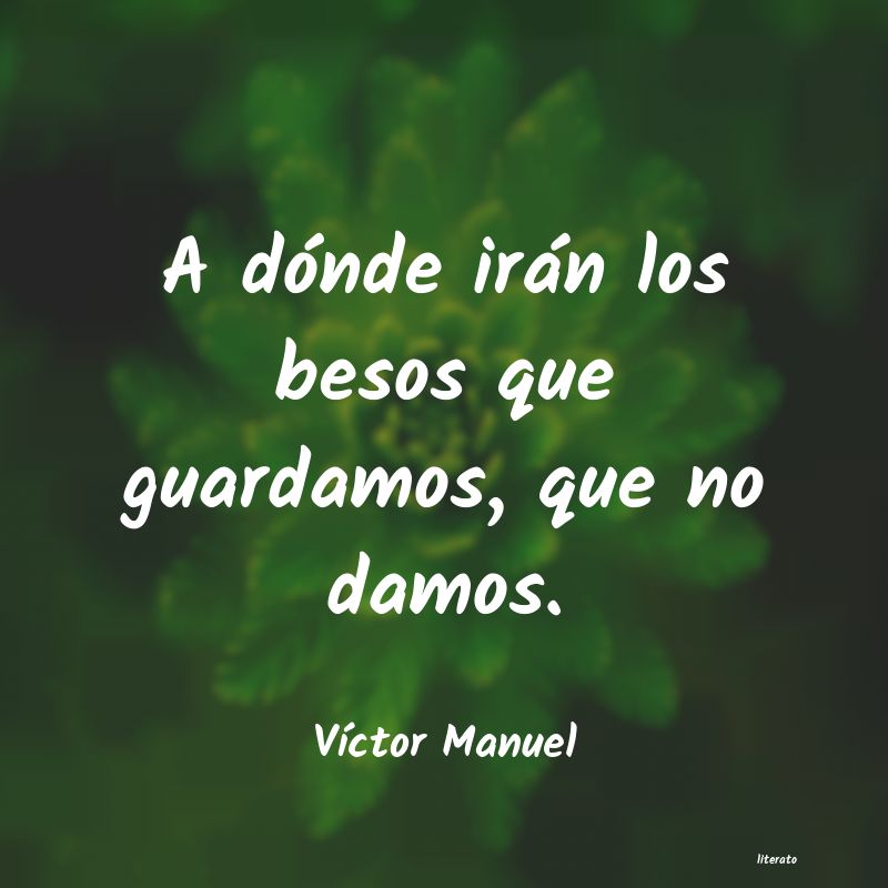 Frases de Víctor Manuel