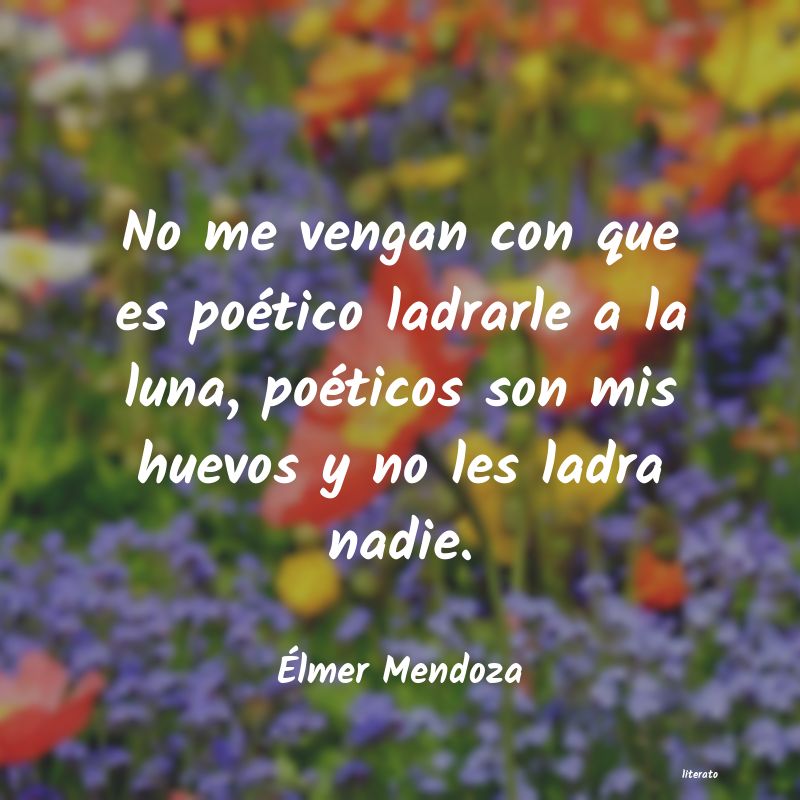 Frases de Élmer Mendoza