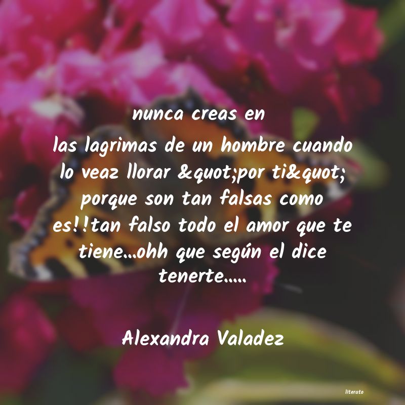 Frases de Alexandra Valadez