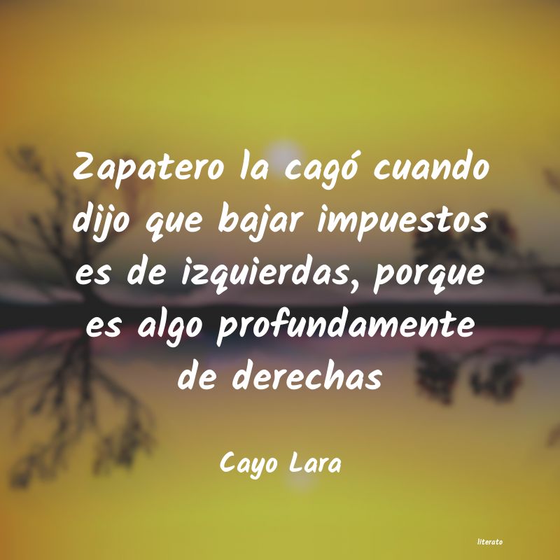 Frases de Cayo Lara