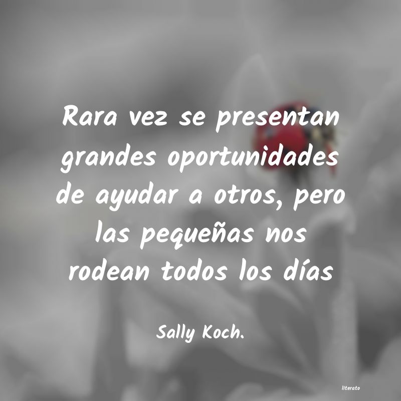 Frases de Sally Koch.
