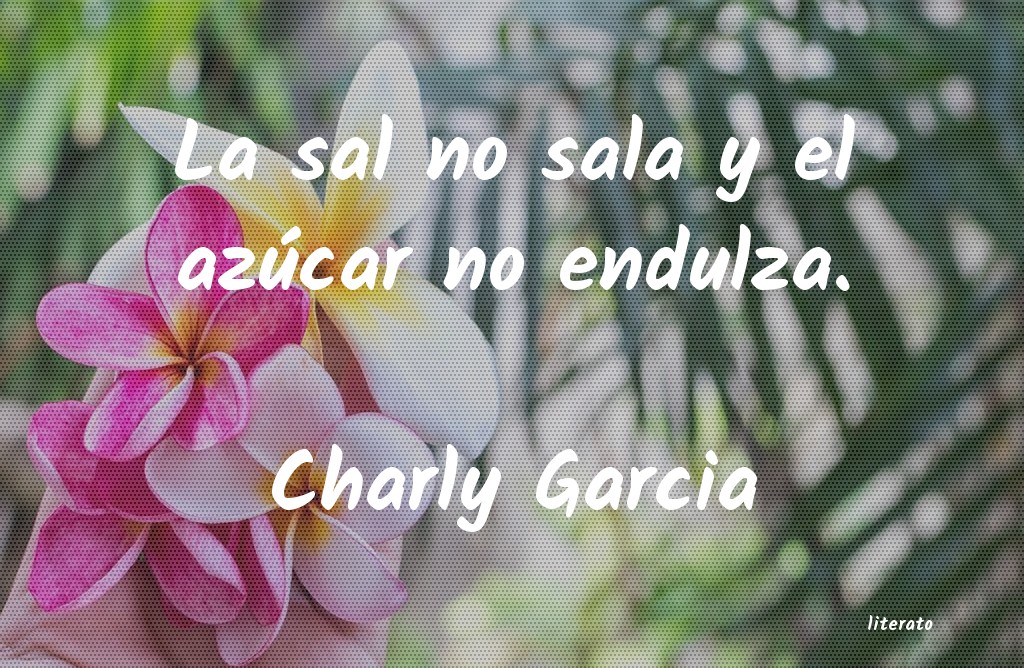 Frases de Charly Garcia