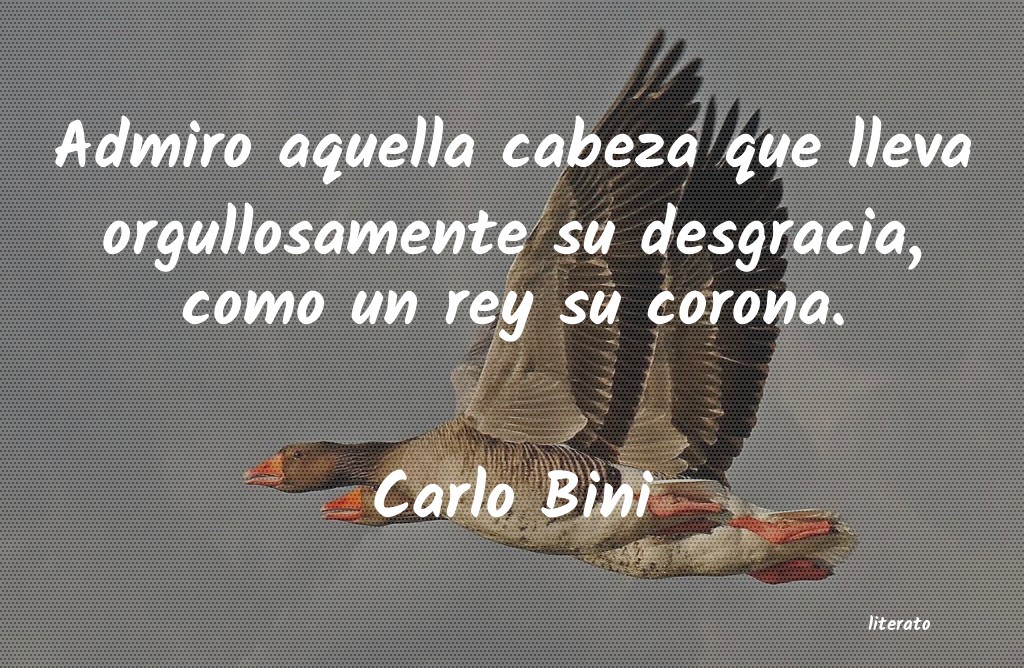 Frases de Carlo Bini