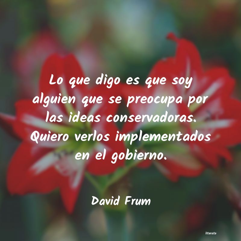 Frases de David Frum