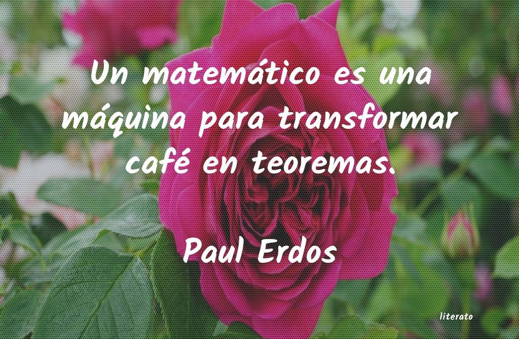 Frases de Paul Erdos