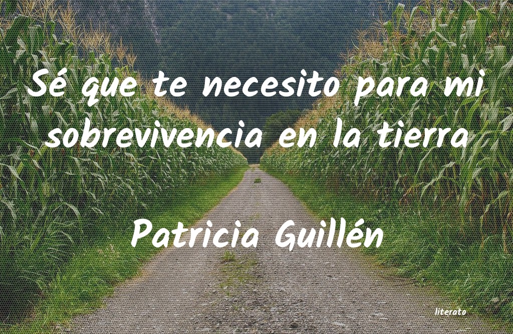 Frases de Patricia Guillén