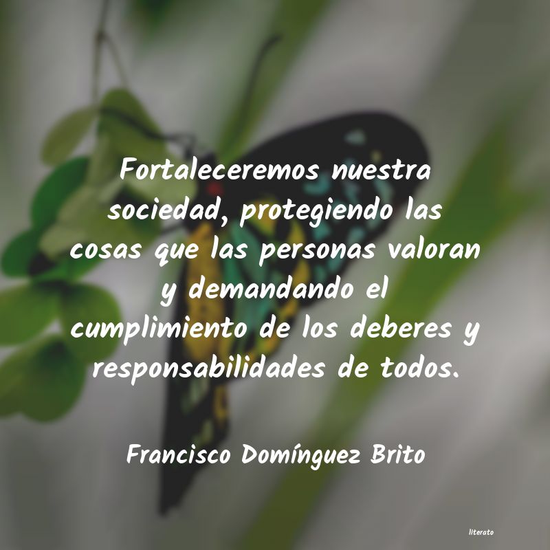 Frases de Francisco Domínguez Brito