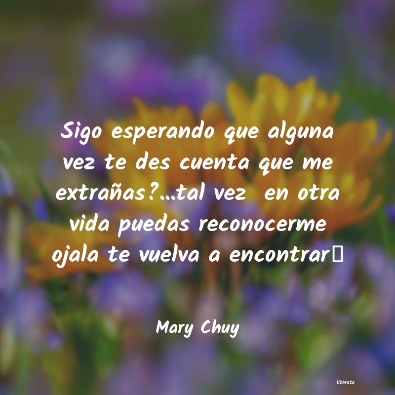 Frases de Mary Chuy