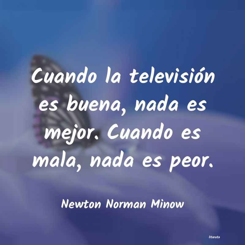 Frases de Newton Norman Minow