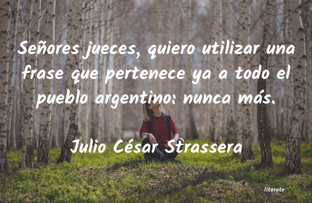 Frases de Julio César Strassera