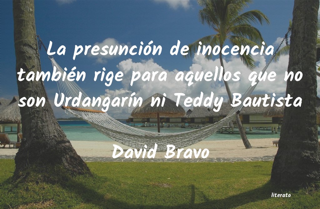 Frases de David Bravo