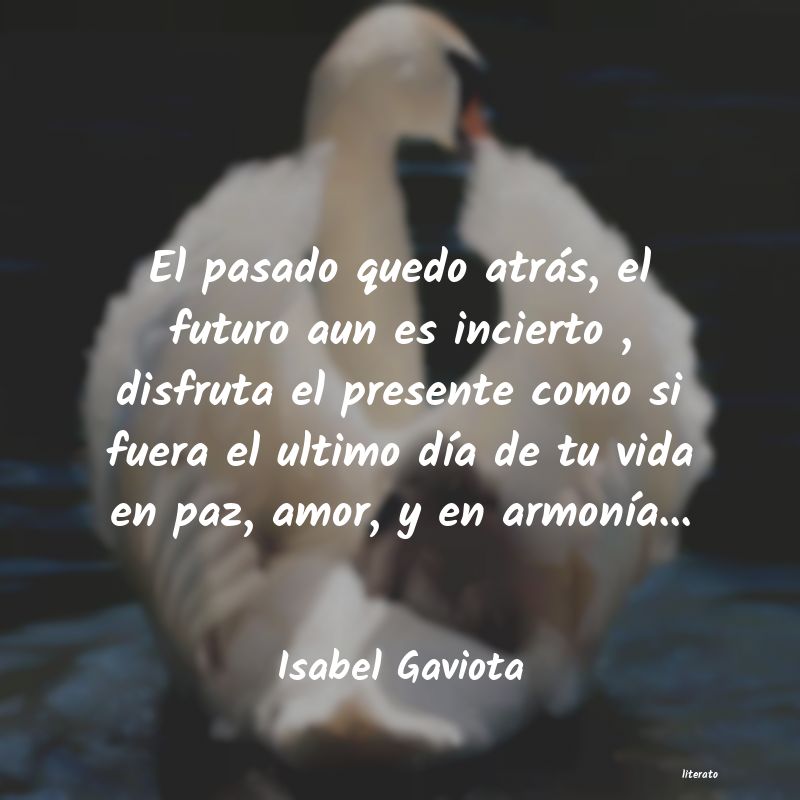 Frases de Isabel Gaviota