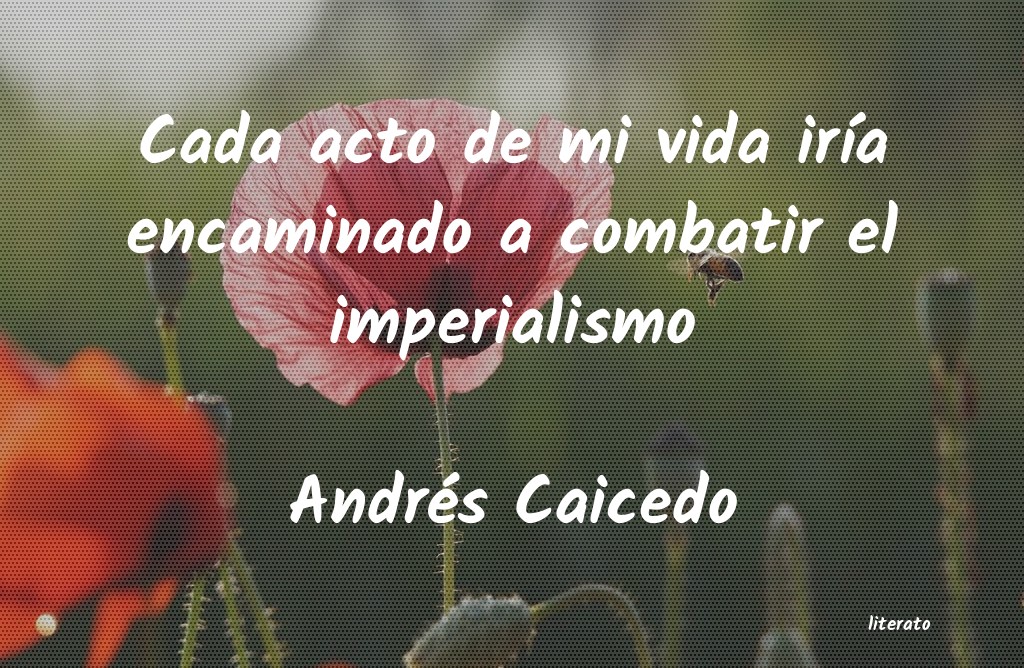 Frases de Andrés Caicedo