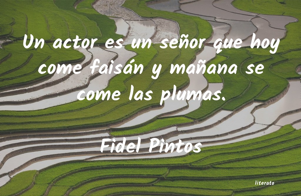 Frases de Fidel Pintos