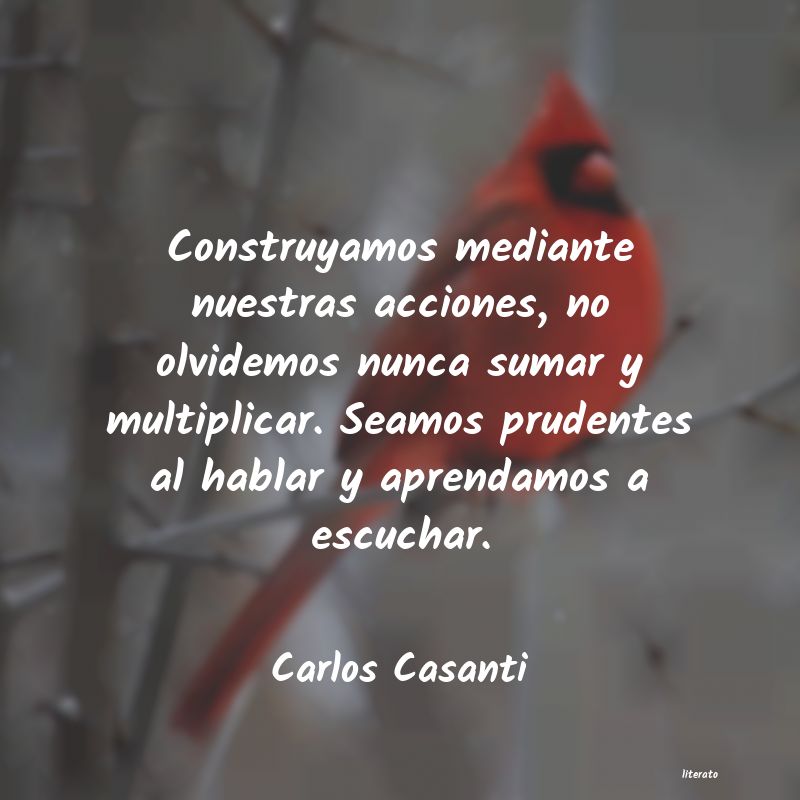 Frases de Carlos Casanti