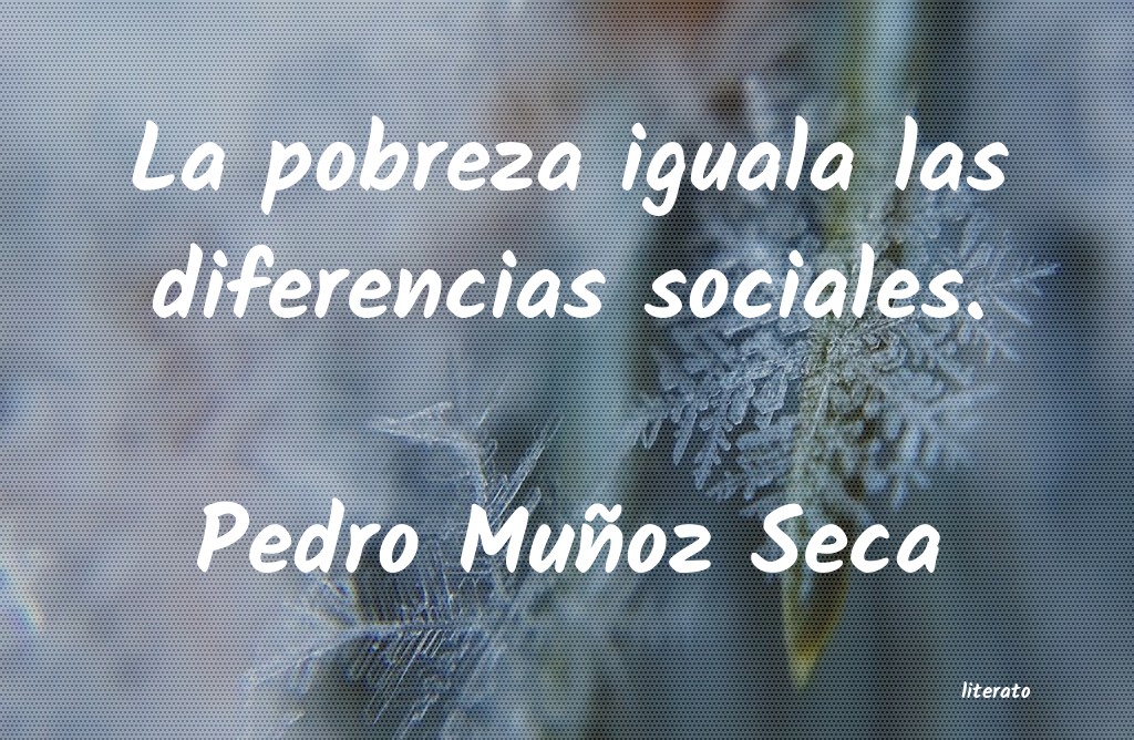 Frases de Pedro Muñoz Seca