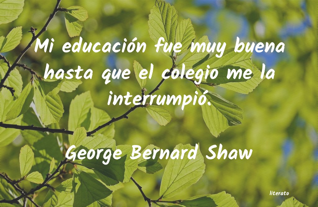 bernard shaw educacion