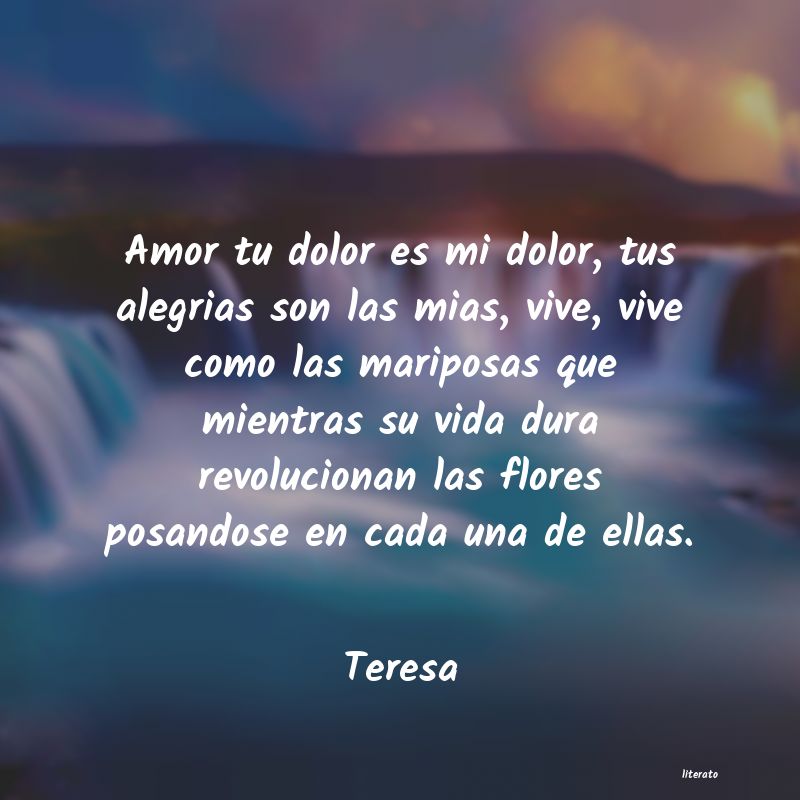 Frases de Teresa