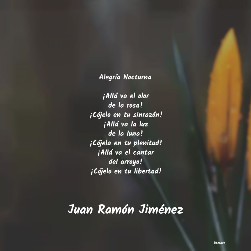 Frases de Juan Ramón Jiménez