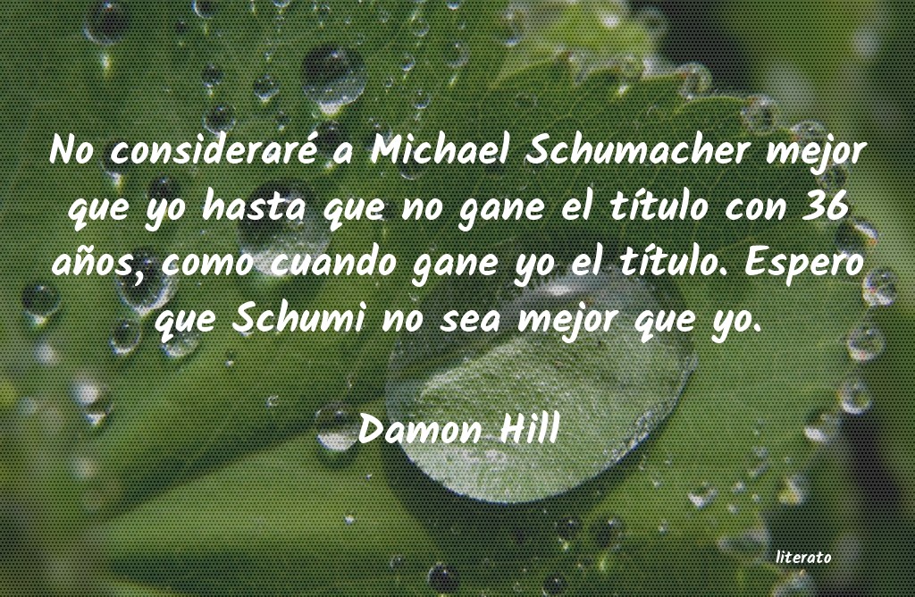 Frases de Damon Hill