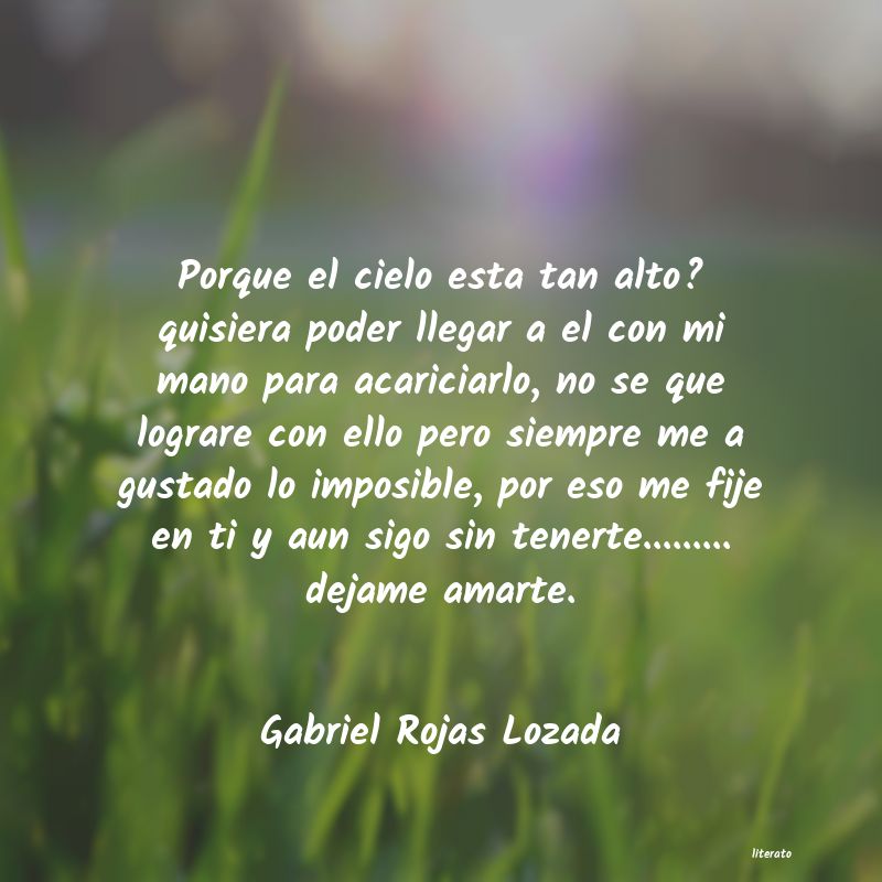 Frases de Gabriel Rojas Lozada