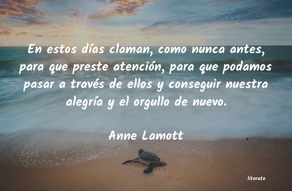 Frases de Anne Lamott