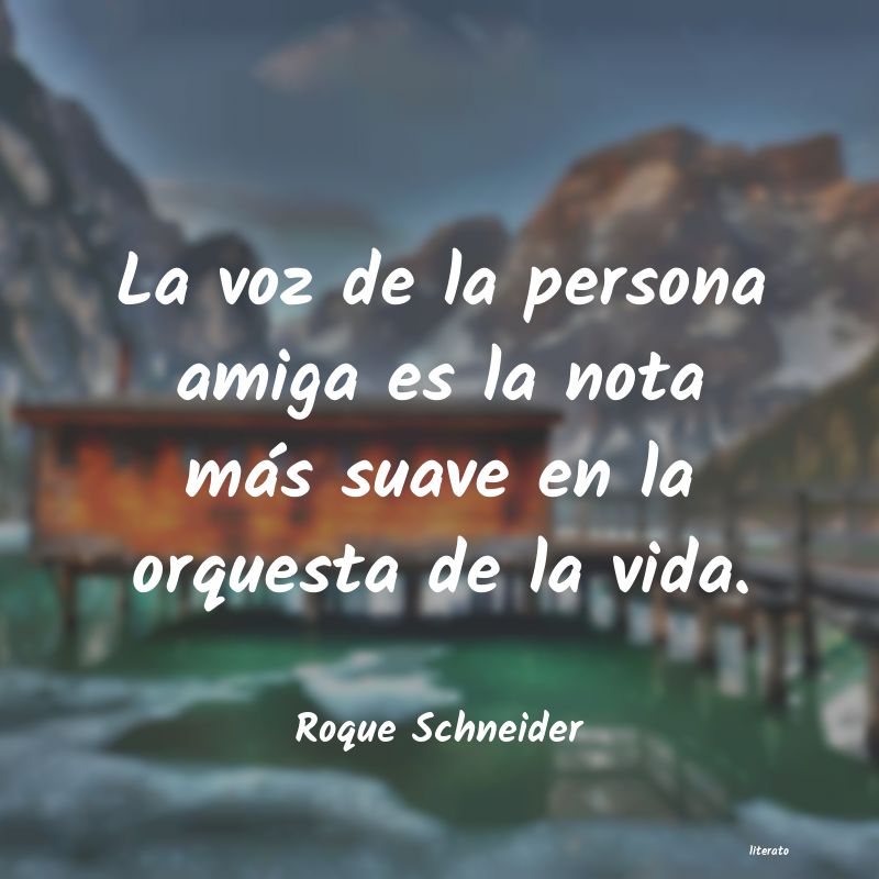 Frases de Roque Schneider