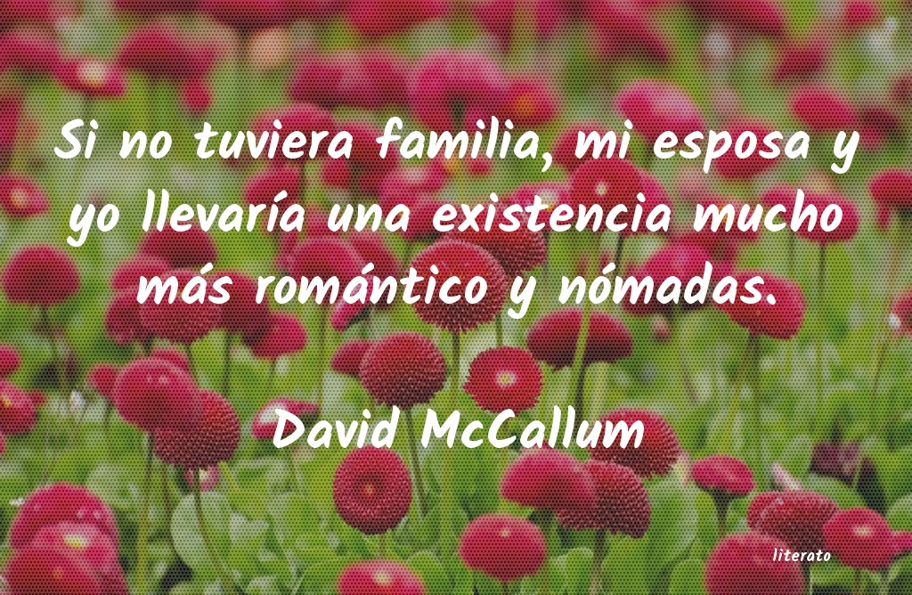 Frases de David McCallum