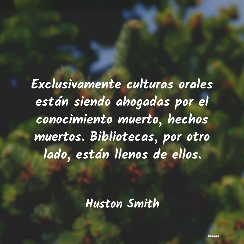Frases de Huston Smith