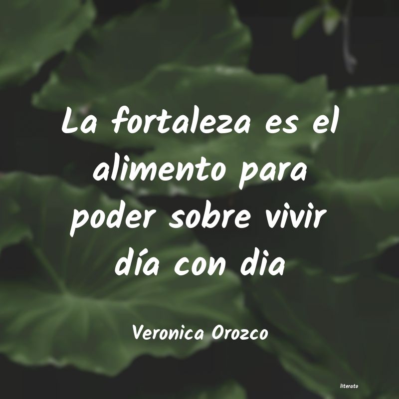 Frases de Veronica Orozco