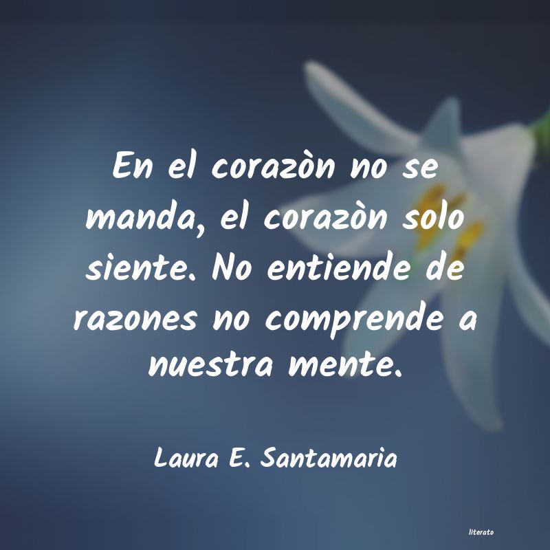 Frases de Laura E. Santamaria