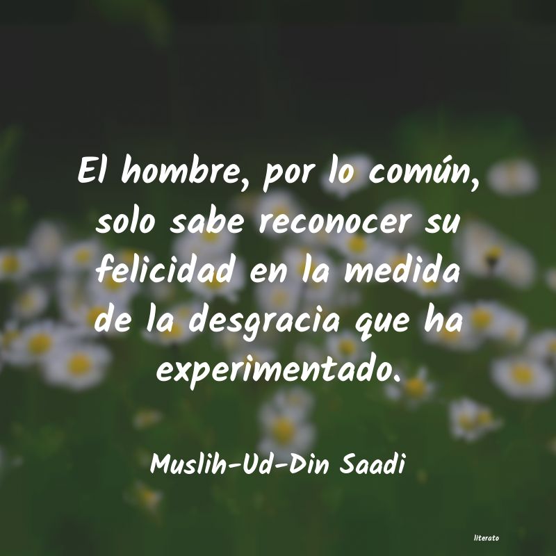 Frases de Muslih-Ud-Din Saadi
