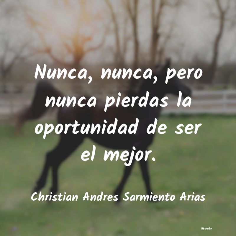 Frases de Christian Andres Sarmiento Arias