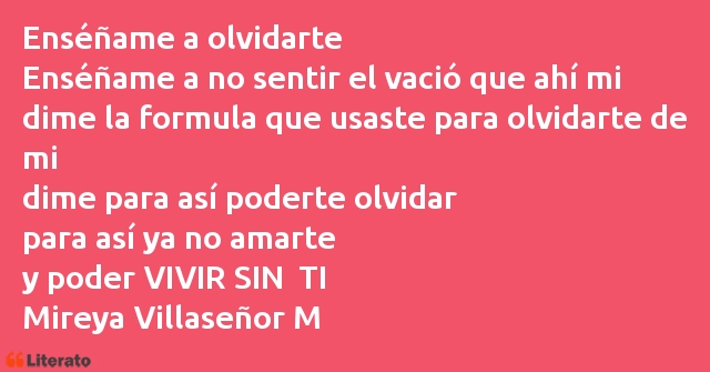 Frases de Mireya Villaseñor M