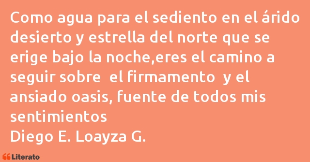Frases de Diego E. Loayza G.
