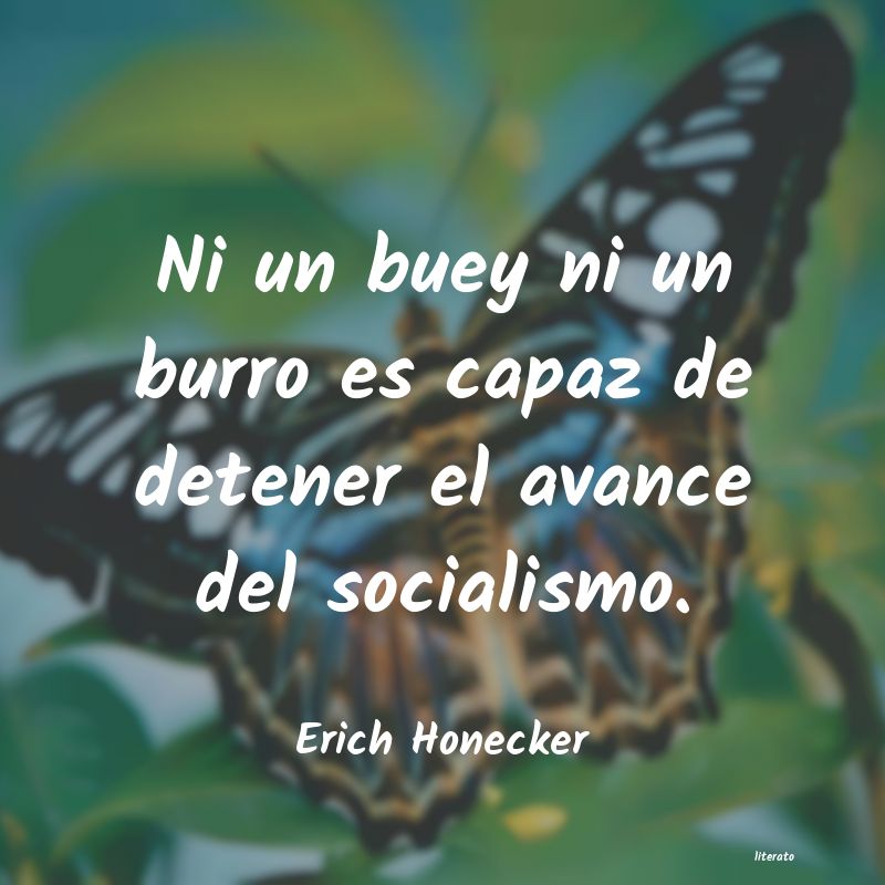 Frases de Erich Honecker