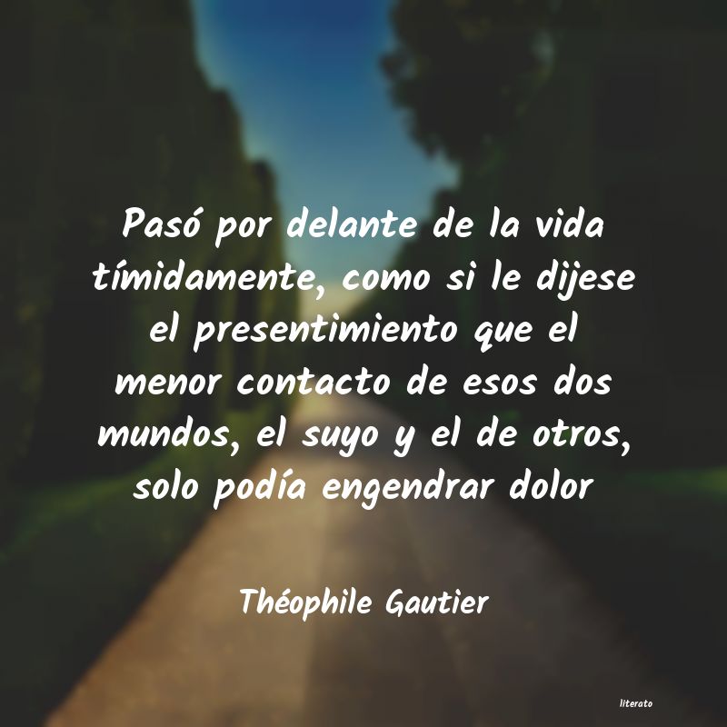 Frases de Théophile Gautier
