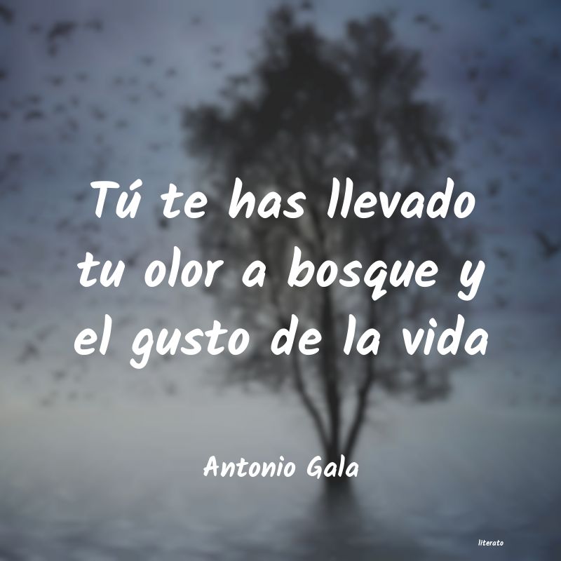 Frases de Antonio Gala