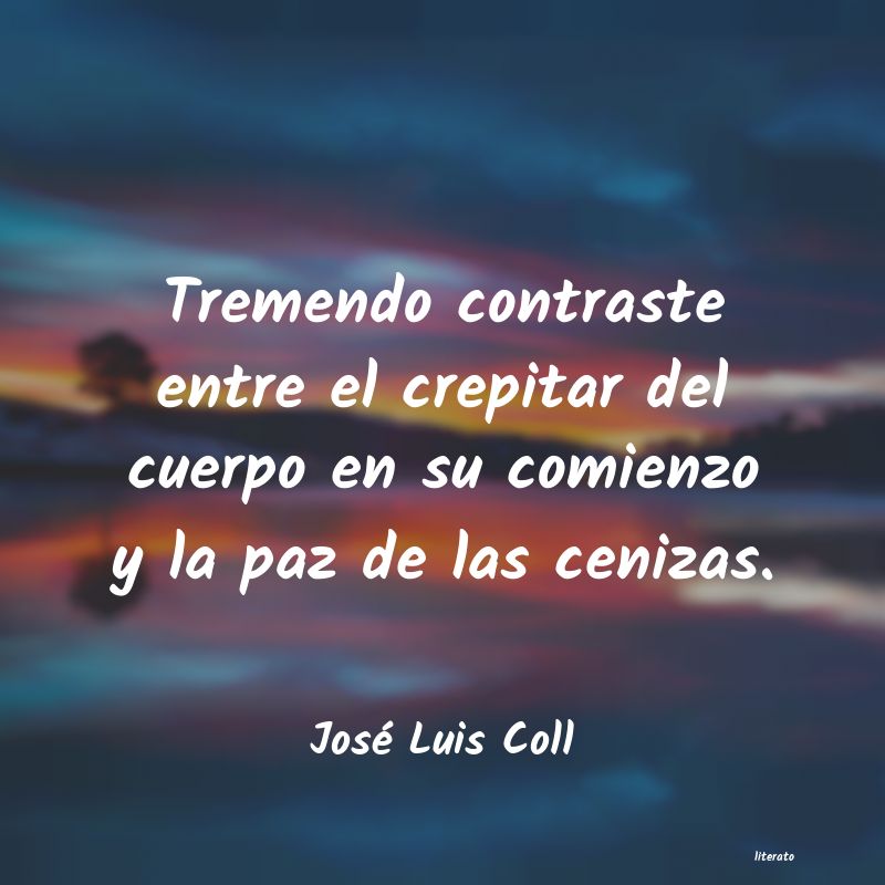 Frases de José Luis Coll