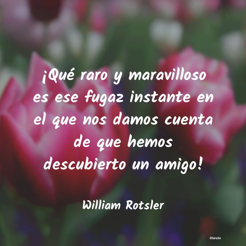 Frases de William Rotsler
