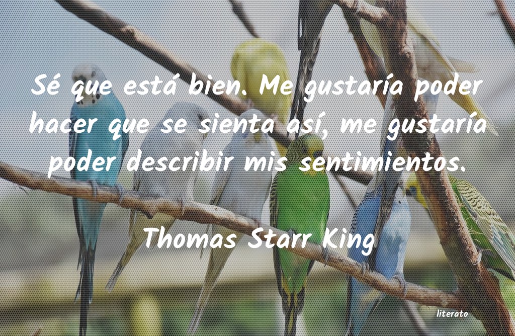 Frases de Thomas Starr King