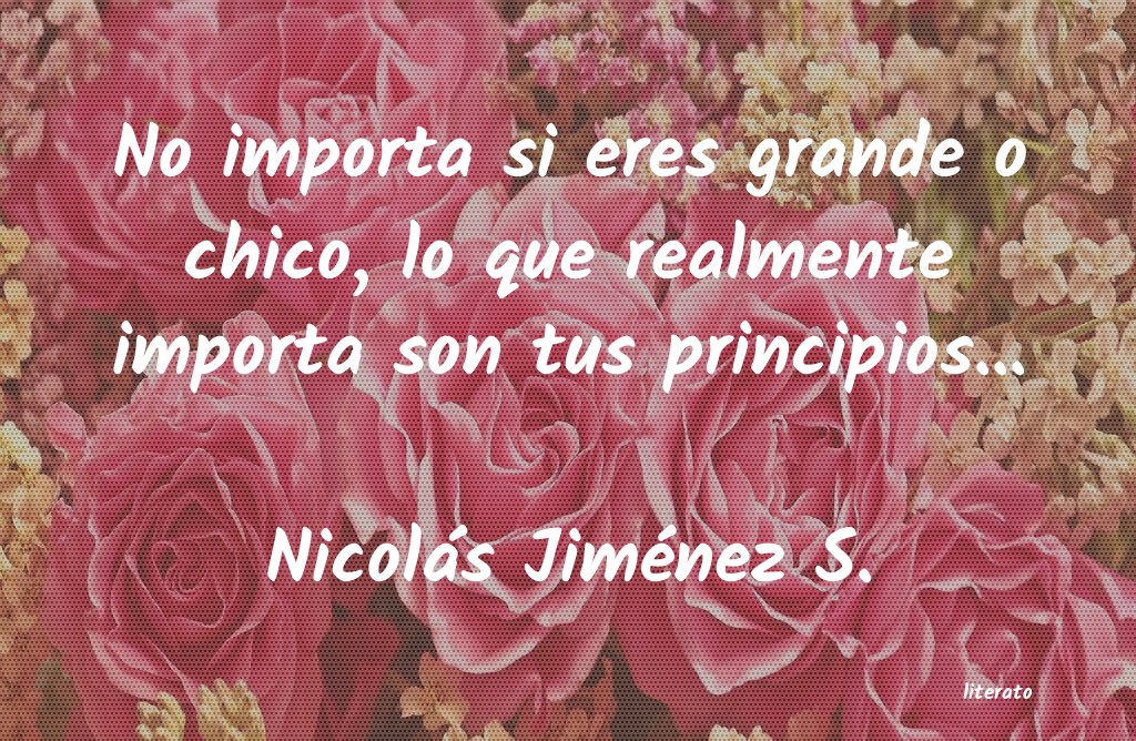 Frases de Nicolás Jiménez S.